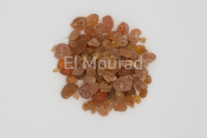 ARABIC GUM - Image 3