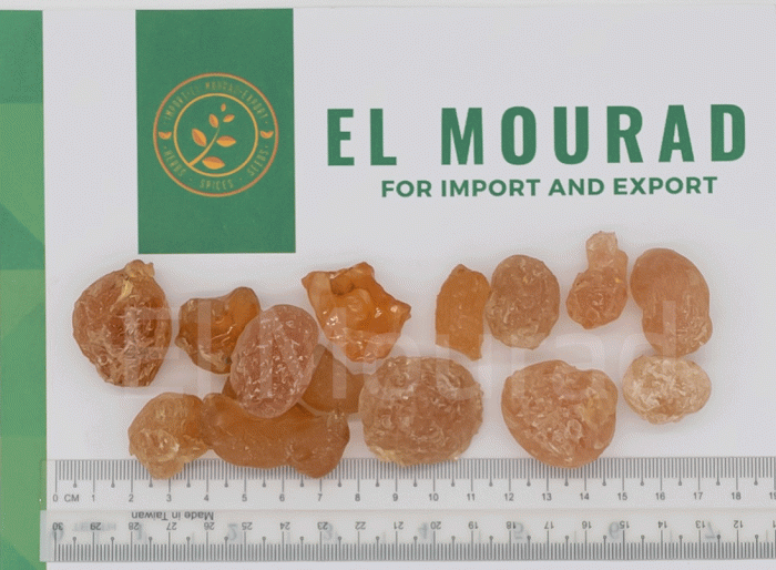 ARABIC GUM - Image 2