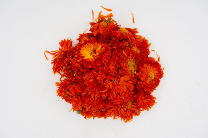 CALENDULA - Image 3