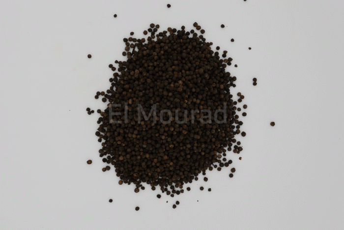 BLACK PEPPER - Image 2