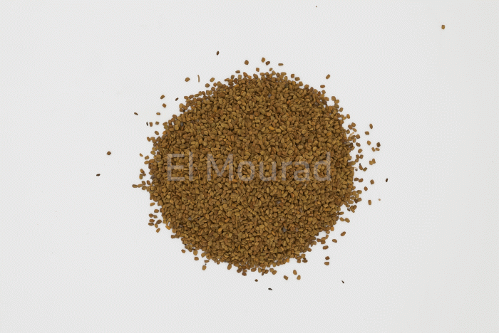 FENUGREEK SEEDS - Image 3