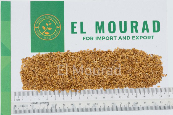 SESAME SEEDS - Image 8