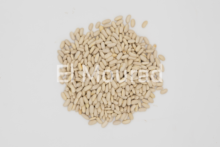 WHITE KIDNEY BEANS - Image 3